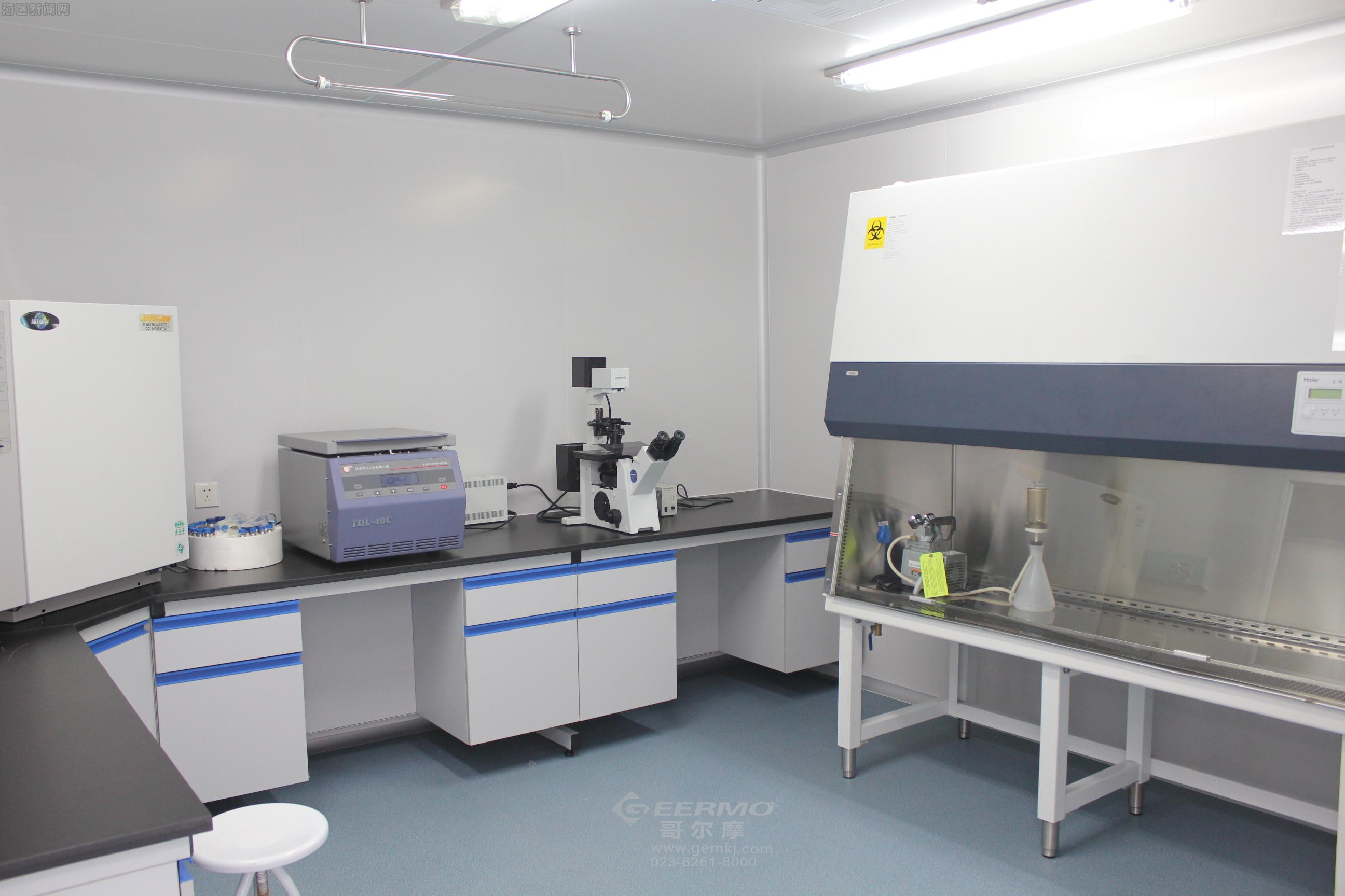 細胞檢測實驗室設計